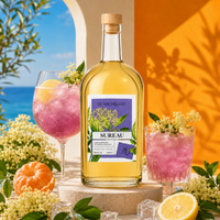 Liqueur de Sureau 2,5L 20% – Pot Gascon De Michellot
